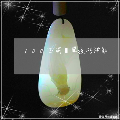 100万买翡翠技巧讲解/2023070851715