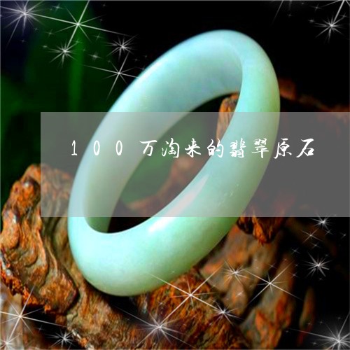 100万淘来的翡翠原石/2023070830694