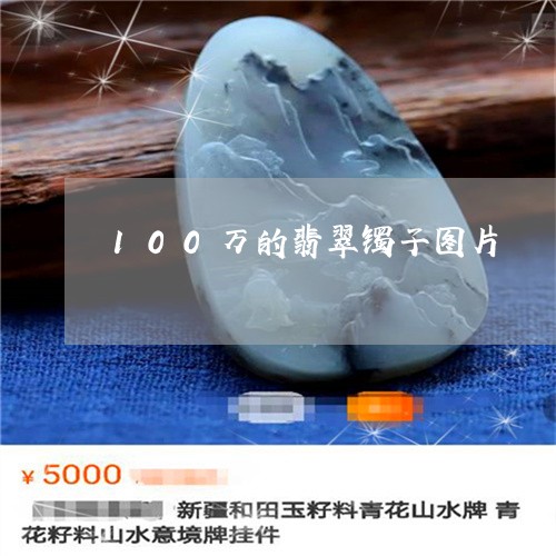 100万的翡翠镯子图片/2023070868359