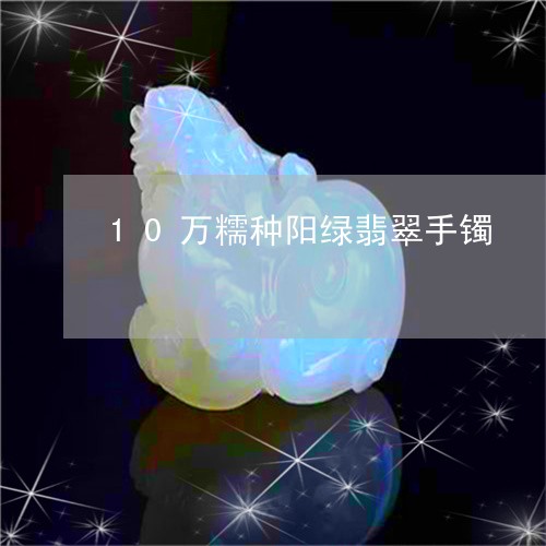 10万糯种阳绿翡翠手镯/2023070998390