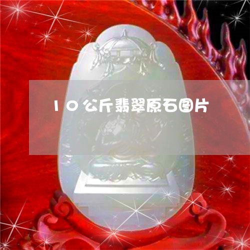 10公斤翡翠原石图片/2023041169402