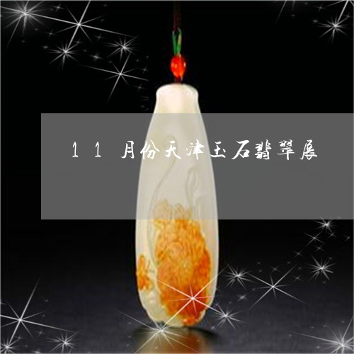 11月份天津玉石翡翠展/2023070930504