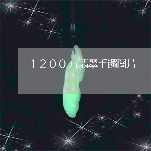 1200万翡翠手镯图片/2023070977492