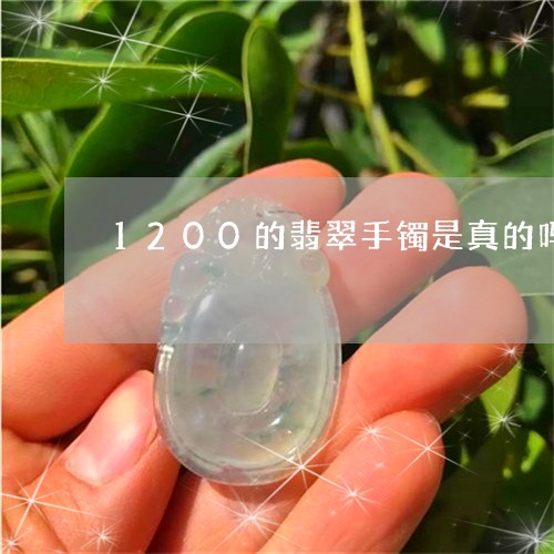 1200的翡翠手镯是真的吗/2023100617380