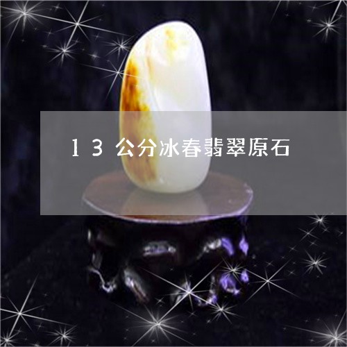 13公分冰春翡翠原石/2023112416170