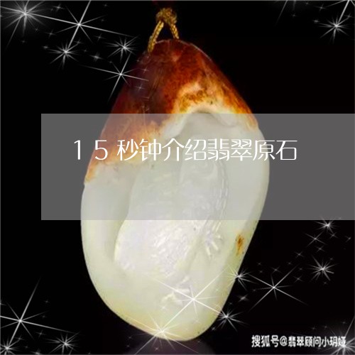 15秒钟介绍翡翠原石/2023041134937