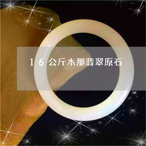 16公斤木那翡翠原石/2023041167161