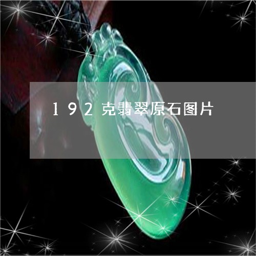 192克翡翠原石图片/2023041064027