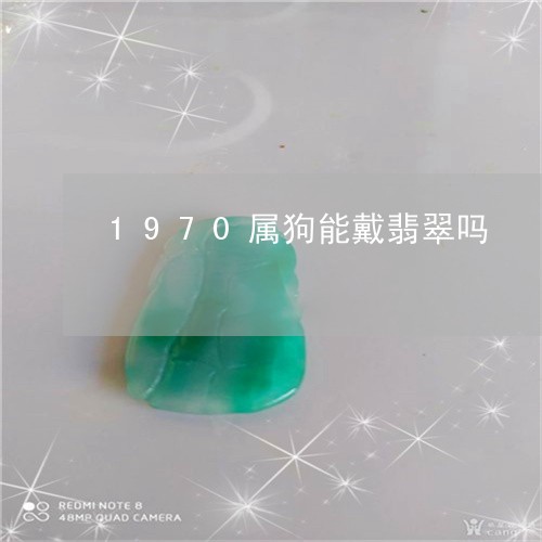 1970属狗能戴翡翠吗/2023070965958