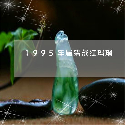 1995年属猪戴红玛瑙/2023070910495