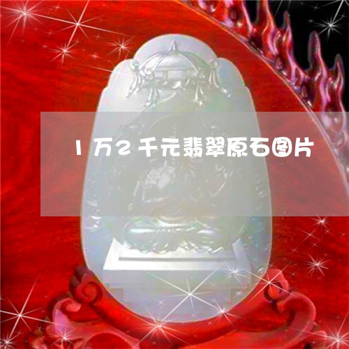 1万2千元翡翠原石图片/2023070921625