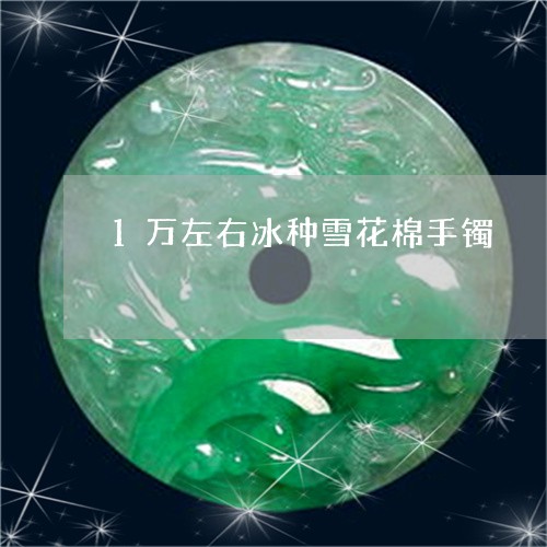 1万左右冰种雪花棉手镯/2023070999484