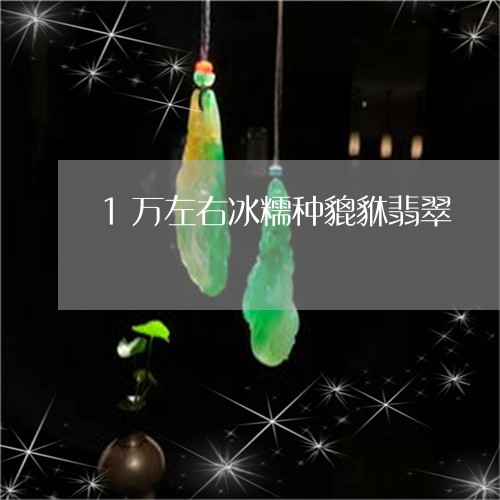 1万左右冰糯种貔貅翡翠/2023070948483