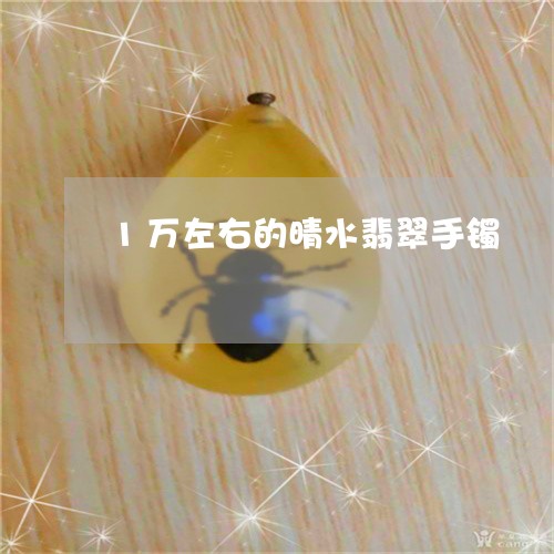 1万左右的晴水翡翠手镯/2023070976148