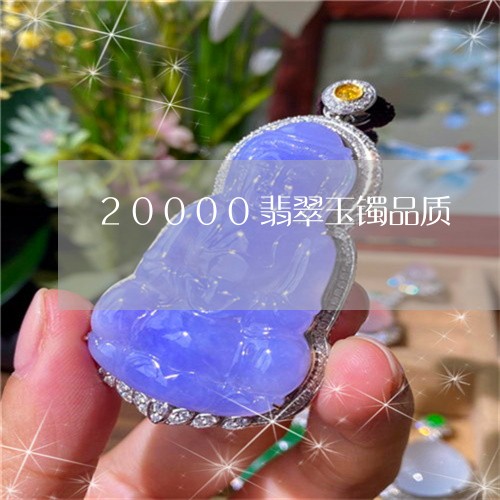 20000翡翠玉镯品质/2023070939593