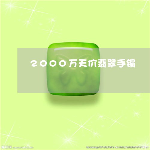 2000万天价翡翠手镯/2023070967361