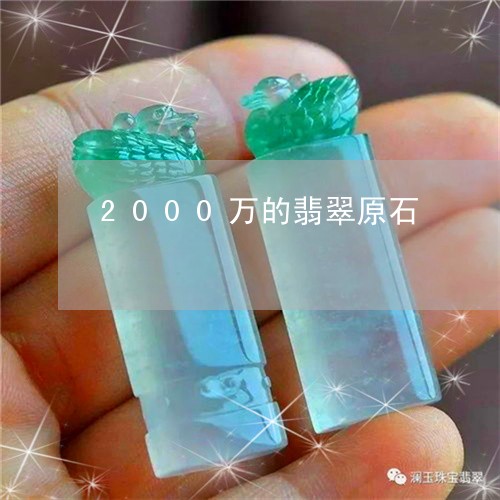 2000万的翡翠原石/2023051140682