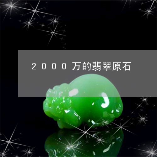 2000万的翡翠原石/2023051181491