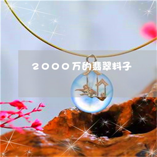 2000万的翡翠料子/2023082541594