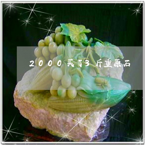 2000买了3斤重原石/2023070990383