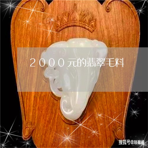 2000元的翡翠毛料/2023082504726