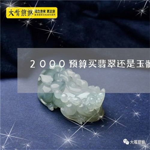 2000预算买翡翠还是玉髓/2023112470684