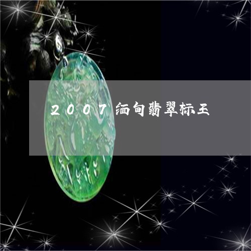 2007缅甸翡翠标王/2023051180592