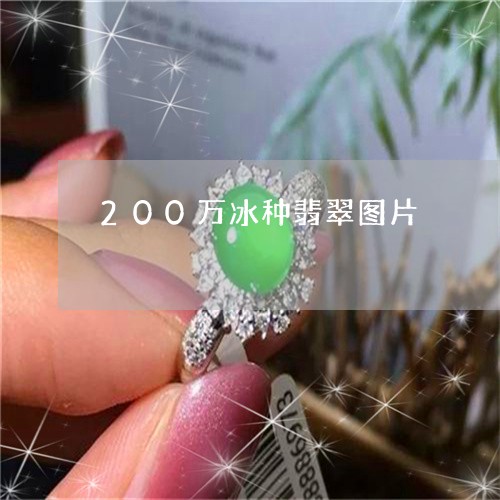 200万冰种翡翠图片/2023041045131