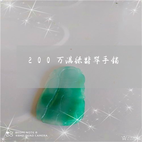 200万满绿翡翠手镯/2023082516169