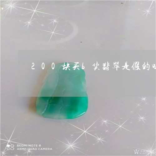 200块买b货翡翠是假的吗/2023100751505