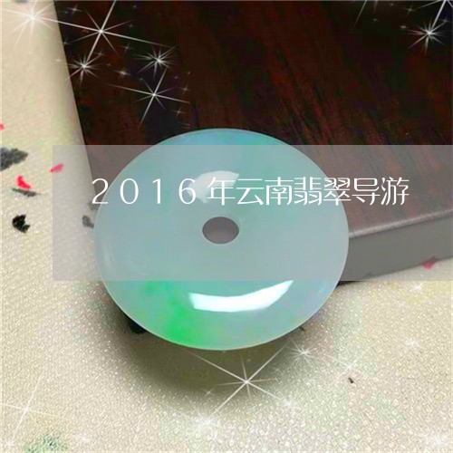 2016年云南翡翠导游/2023070864836