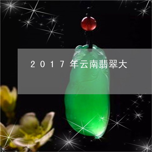 2017年云南翡翠大/2023082525159