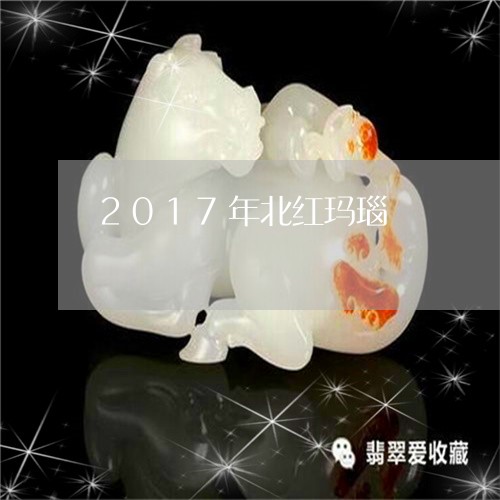 2017年北红玛瑙/2023033105837