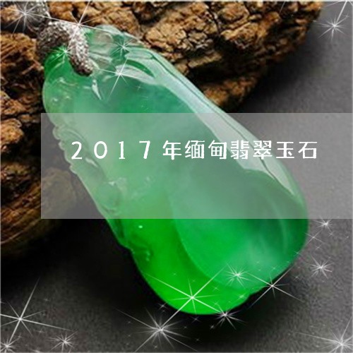 2017年缅甸翡翠玉石/2023070823704