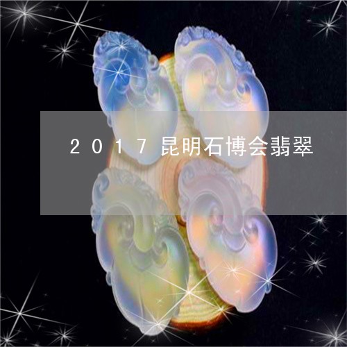 2017昆明石博会翡翠/2023070836946