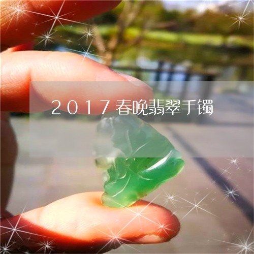 2017春晚翡翠手镯/2023082586268