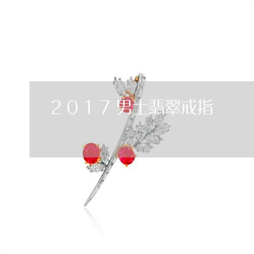 2017男士翡翠戒指/2023082553714