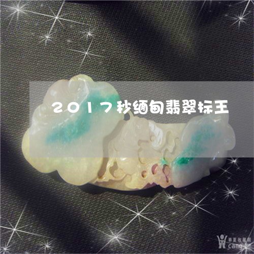 2017秒缅甸翡翠标王/2023070843836