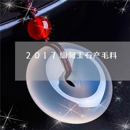 2017缅甸玉石产毛料/2023070899783