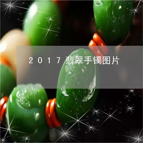 2017翡翠手镯图片/2023082579703