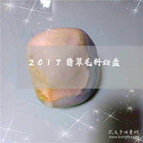 2017翡翠毛料公盘/2023082523925