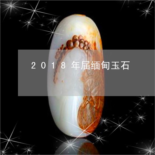 2018年届缅甸玉石/2023082580594