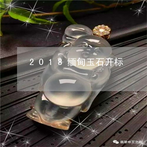 2018缅甸玉石开标/2023082538561