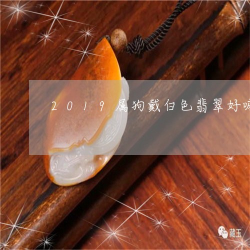 2019属狗戴白色翡翠好嘛/2023100733738