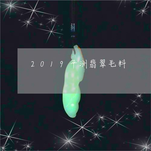 2019平洲翡翠毛料/2023041073825