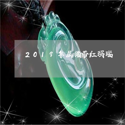 2019年属猪带红玛瑙/2023070846148