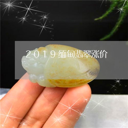 2019缅甸翡翠涨价/2023082598361