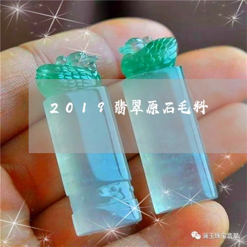 2019翡翠原石毛料/2023082542536