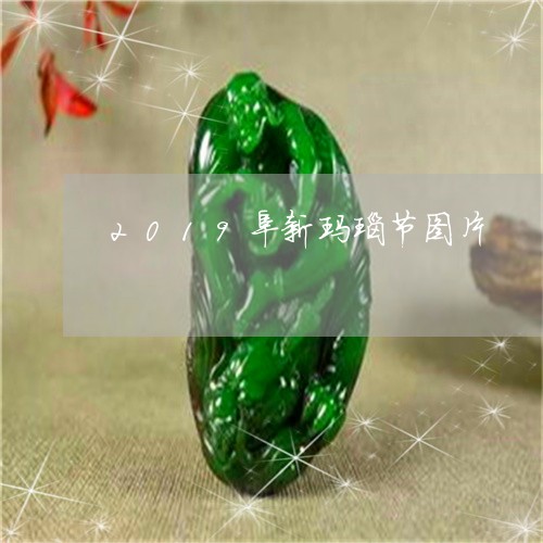 2019阜新玛瑙节图片/2023070820405