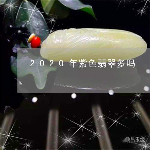 2020年紫色翡翠多吗/2023070826058